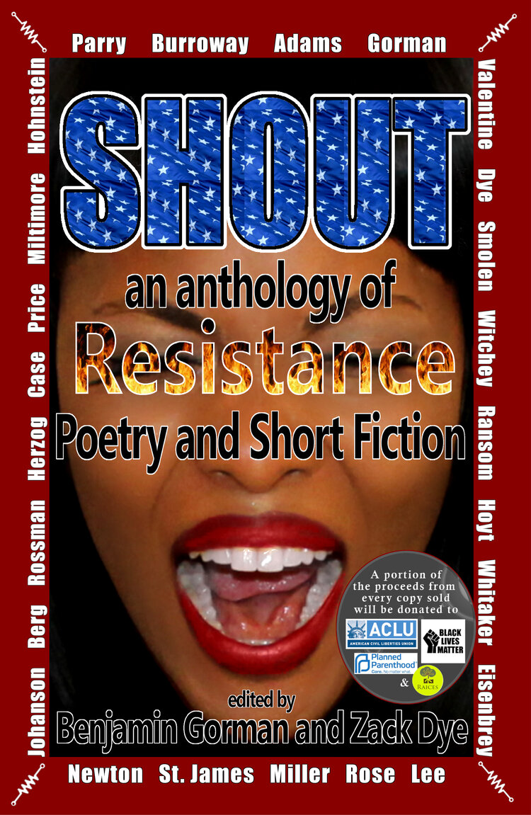 Shout+eBook+Cover+12_15_19.jpg?format=750w