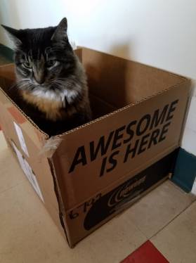 71402589_2446228792159486_9019841113019645952_o